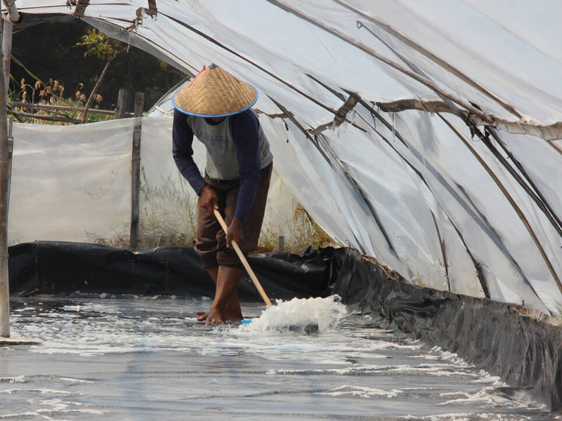 Impor Garam Belum Bisa Dihentikan, Produksi Garam Belum Terpenuhi